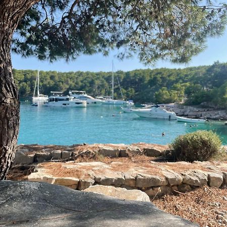 Luxury Villa Kate - In Lucice Bay With Turquoise Sea, Amazing Seaviews, And Heated Pool ミルナ エクステリア 写真